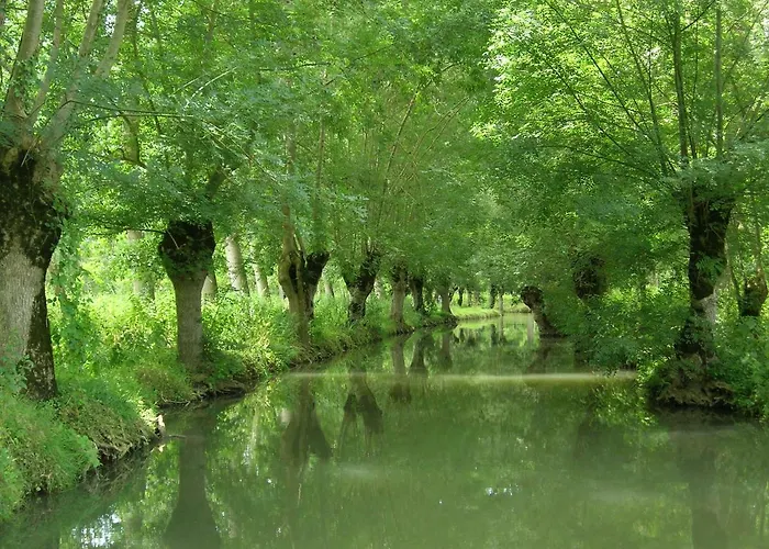 La Gauviniere
